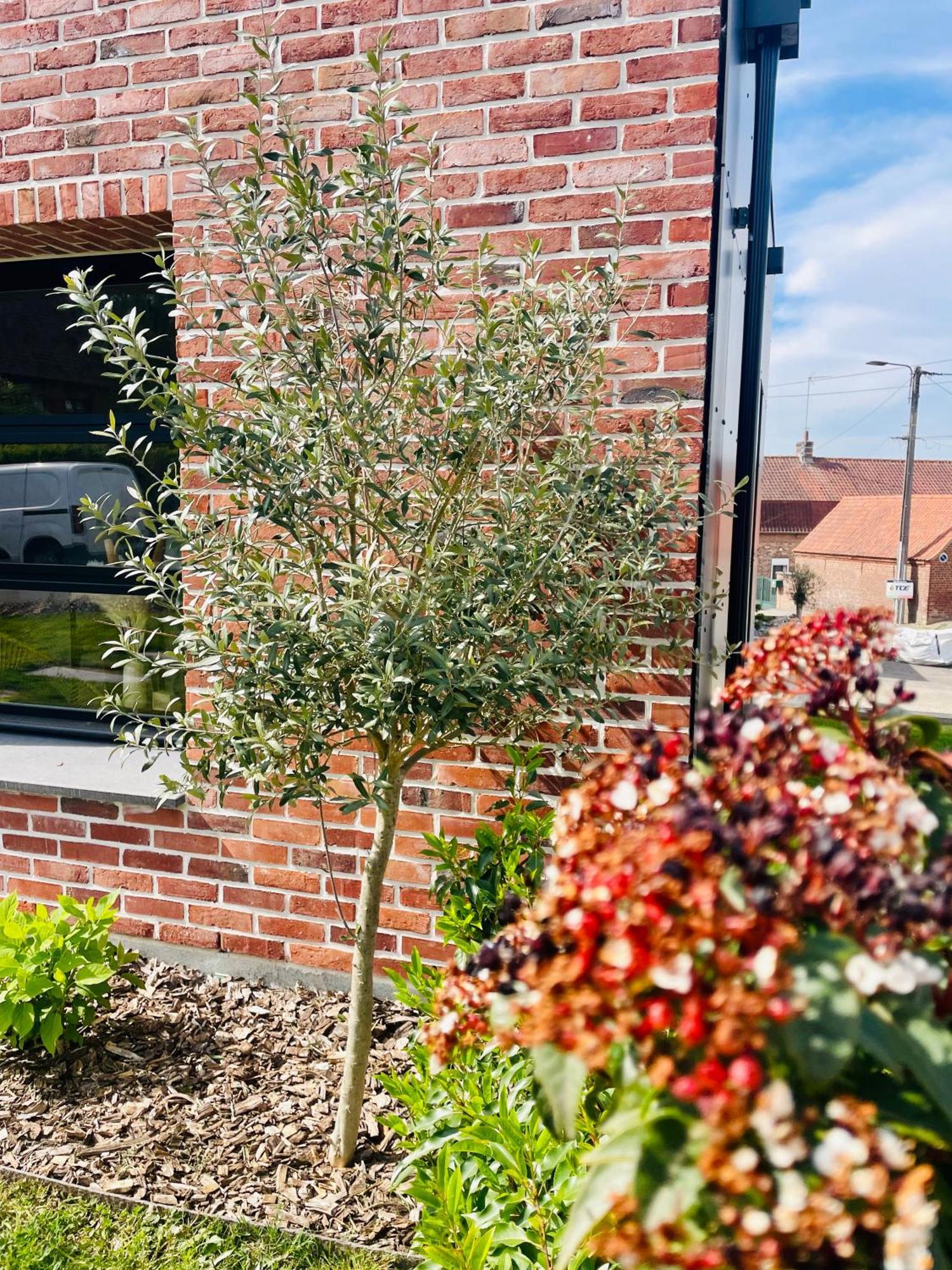 Studio Cosy Neuf Ecques Exterior foto